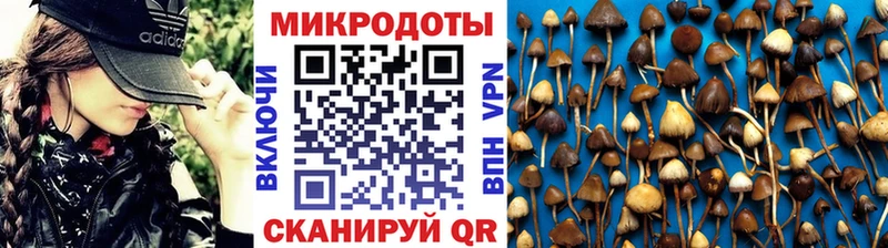 Псилоцибиновые грибы Psilocybe  Новомосковск 